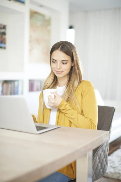 Jovem mulher usando laptop Imagens Royalty-Free