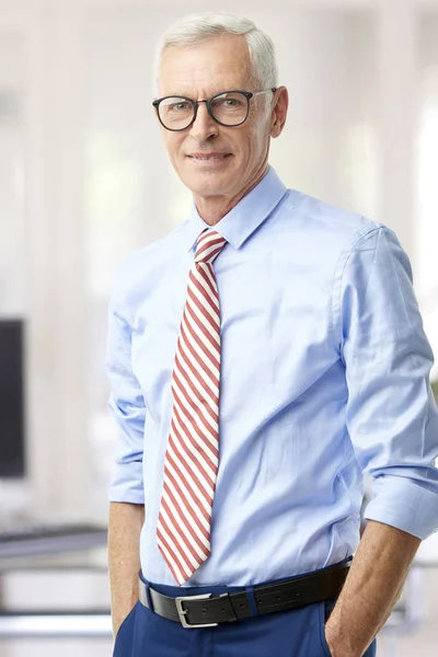 Senior Marketing Director Businessman Standing Office While Looking Camera Smiling — Stock Photo, Image