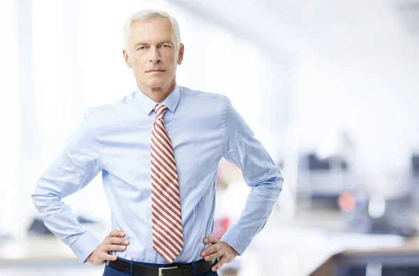 Elderly Financial Professional Man Standing Office Hands Hip Looking Camera — Stock Photo, Image