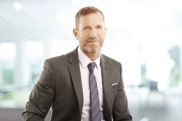 Middle Aged Financial Director Businessman Sitting Office Looking Camera — Stock Photo, Image