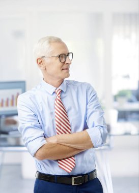 Ofiste geçti ams ile ayakta olgun satış direktörü işadamı. 