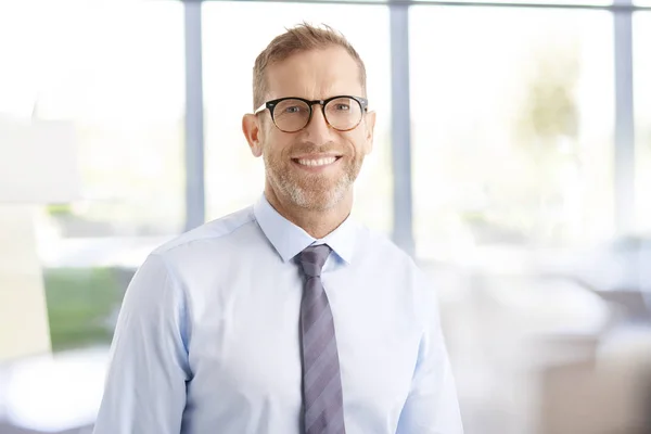Portret Szczęśliwy Średniej Wieku Biznesmen Noszenie Koszuli Krawacie Stojąc Urzędzie — Zdjęcie stockowe