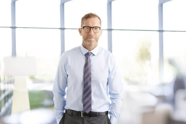 Executive sales man with eyeglasses standing at the office and looking at camera. Middle aged businessman wearing shirt and tie.