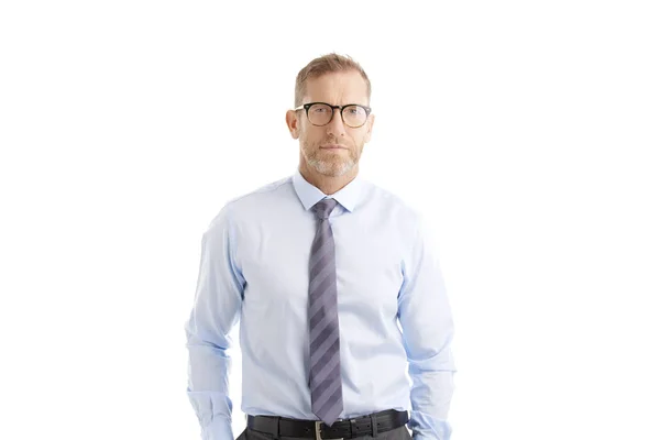 Retrato Estudio Hombre Negocios Mediana Edad Que Usa Camisa Corbata —  Fotos de Stock