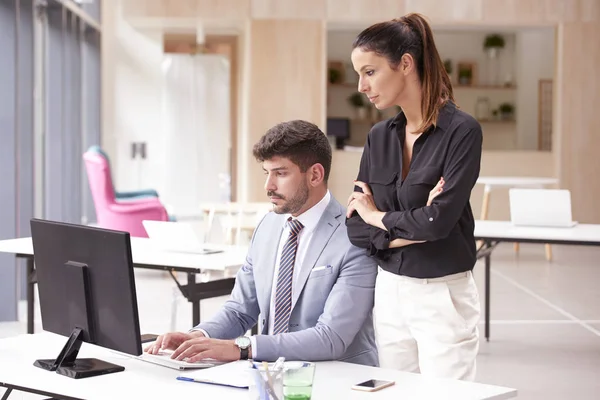 Group of business people working together on new project. Investment advisor businessman sitting in front of computer while consulting with an attractive businesswoman.