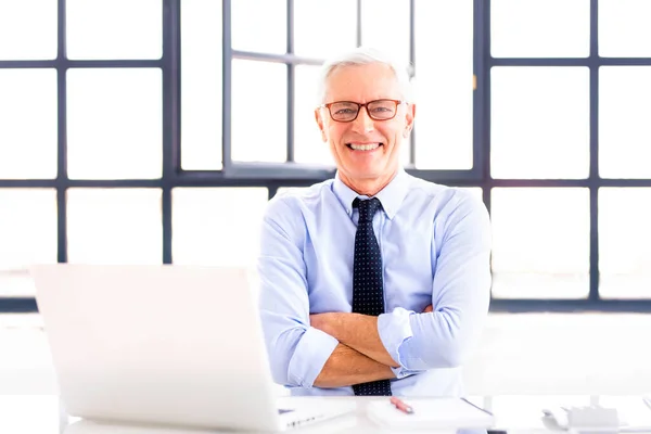 Retrato Tiro Feliz Empresário Sênior Vestindo Camisa Gravata Enquanto Sentado — Fotografia de Stock