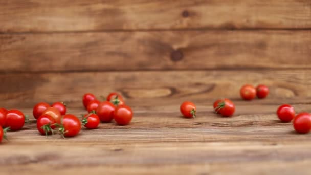 Döner domates çok sayıda — Stok video