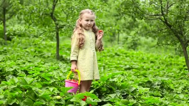 Girl eating strawberries — Wideo stockowe