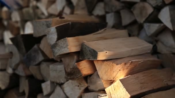 Worker puts wood closeup — Stock Video