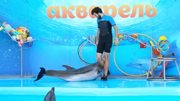 Skadovsk, Oekraïne-September 09.2016. Toespraak dolfijnen in het Dolfinarium — Stockvideo