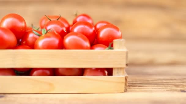 Tomaten mit einer kleinen Schachtel — Stockvideo