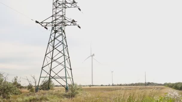 Wind power plant — Stock Video