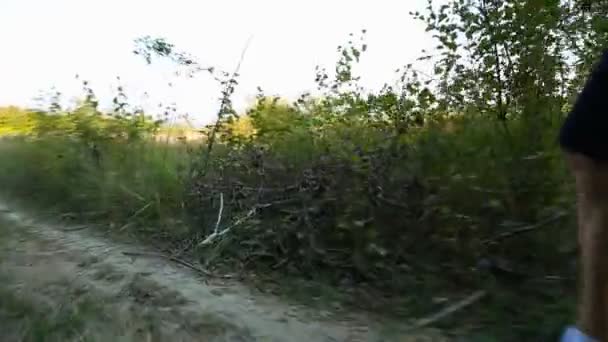 Mujer corriendo cerca del bosque — Vídeos de Stock