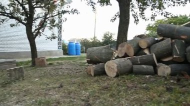 bir balta ile koşan adam