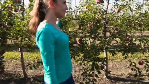 Mujer examina huerto de manzana — Vídeos de Stock