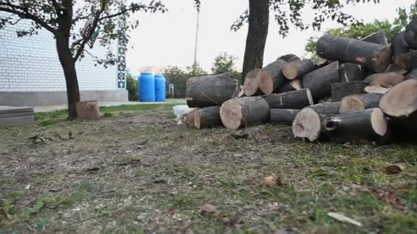 Людина біжить з сокирою — стокове відео