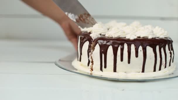 Femme coupe le gâteau — Video