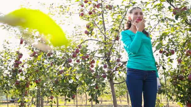 Chica comiendo una manzana — Vídeo de stock