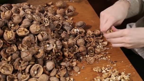 Женская папка с грецким орехом — стоковое видео