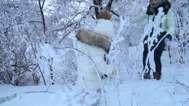 妈妈和女儿走在树林里 — 图库视频影像