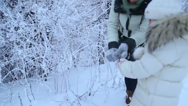 Mutter und Tochter spazieren durch den Wald — Stockvideo