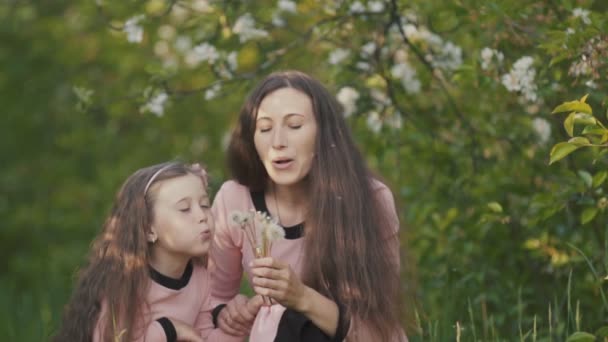 Mamá e hija soplando en un diente de león — Vídeo de stock