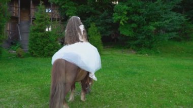 Küçük kız bir midilli sürme