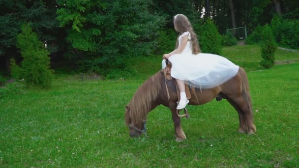 La niña está montando un pony. — Vídeo de stock