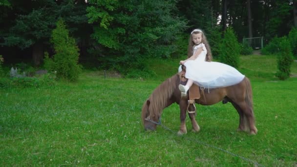 Kleines Mädchen reitet auf einem Pony — Stockvideo