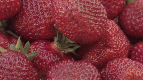 Un piatto di primo piano alla fragola — Video Stock