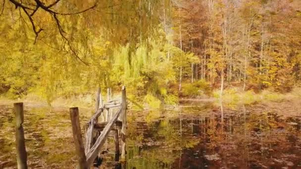 Vieux pont cassé sur un étang — Video