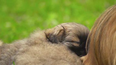 Fino köpekleri birlikte yatıyor musun
