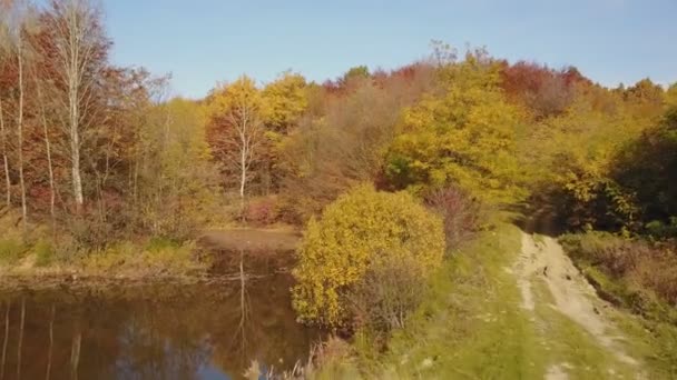 Estanque en el bosque de otoño — Vídeo de stock