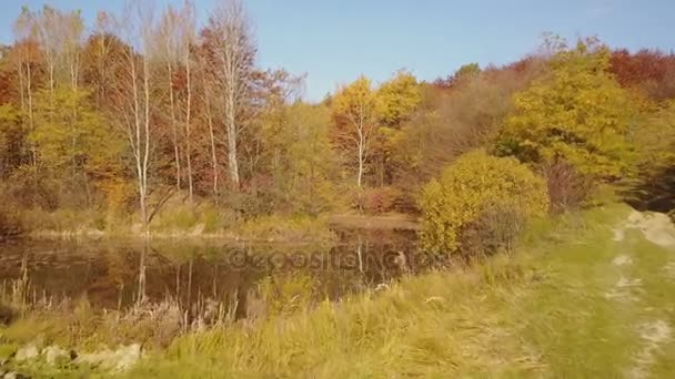 Teich im Herbstwald — Stockvideo