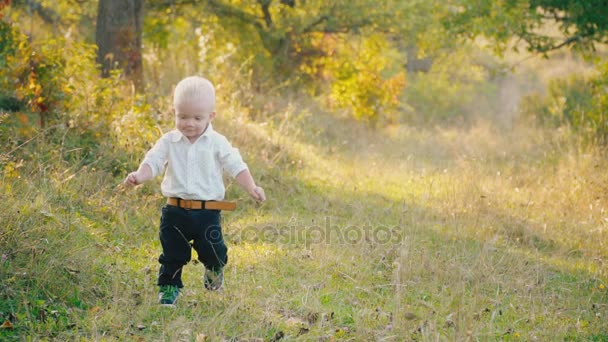 Kleine jongen in de natuur — Stockvideo