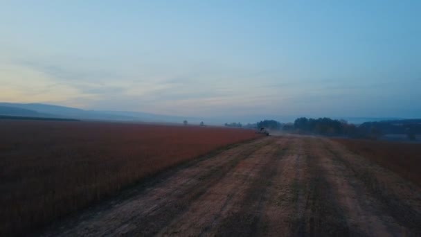 Harvester verzamelt sojabonen te combineren — Stockvideo