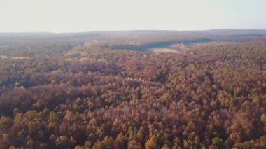 yukarıdan Sonbahar orman Manzaralı