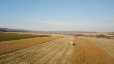hasat toplar soya birleştirmek