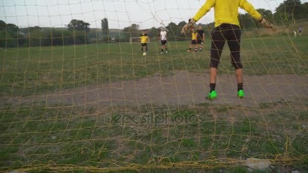 Goalkeeper catches the ball — Stock Video