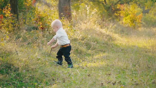 Kleiner Junge in der Natur — Stockvideo