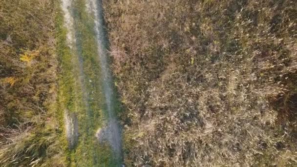 chemin de terre sur la pelouse 