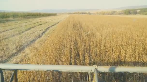 Cosechadora de soja — Vídeos de Stock