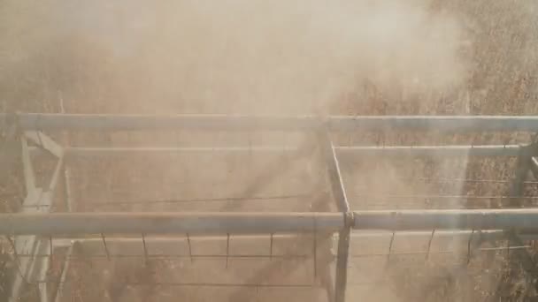 Colheitadeira de soja — Vídeo de Stock