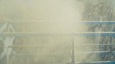 soya birleştirmek hasat