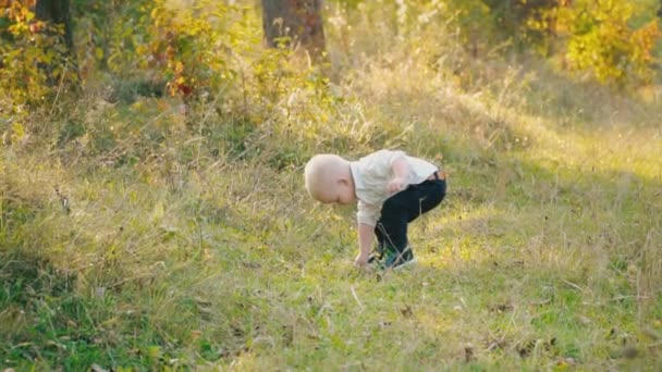 Niño en la naturaleza — Vídeo de stock