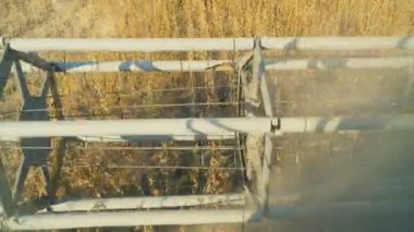 soya birleştirmek hasat