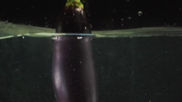 Auberginen faller i vattnet — Stockvideo