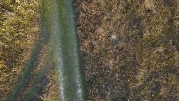 chemin de terre sur la pelouse 