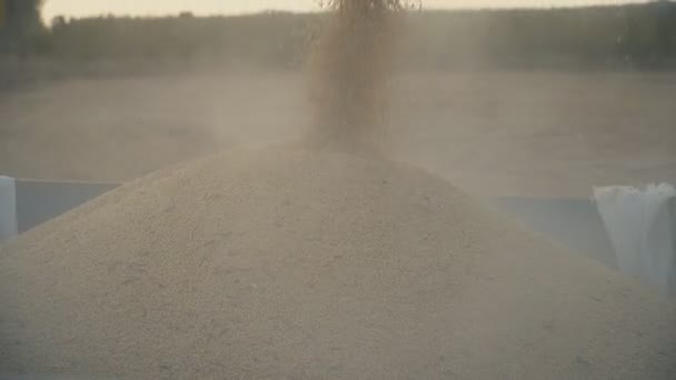 Toplanan soya yüklenmesini içine bir römork — Stok video