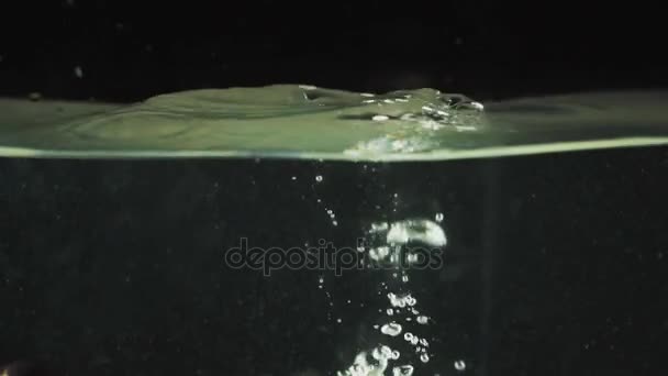 Aubergine valt in het water — Stockvideo
